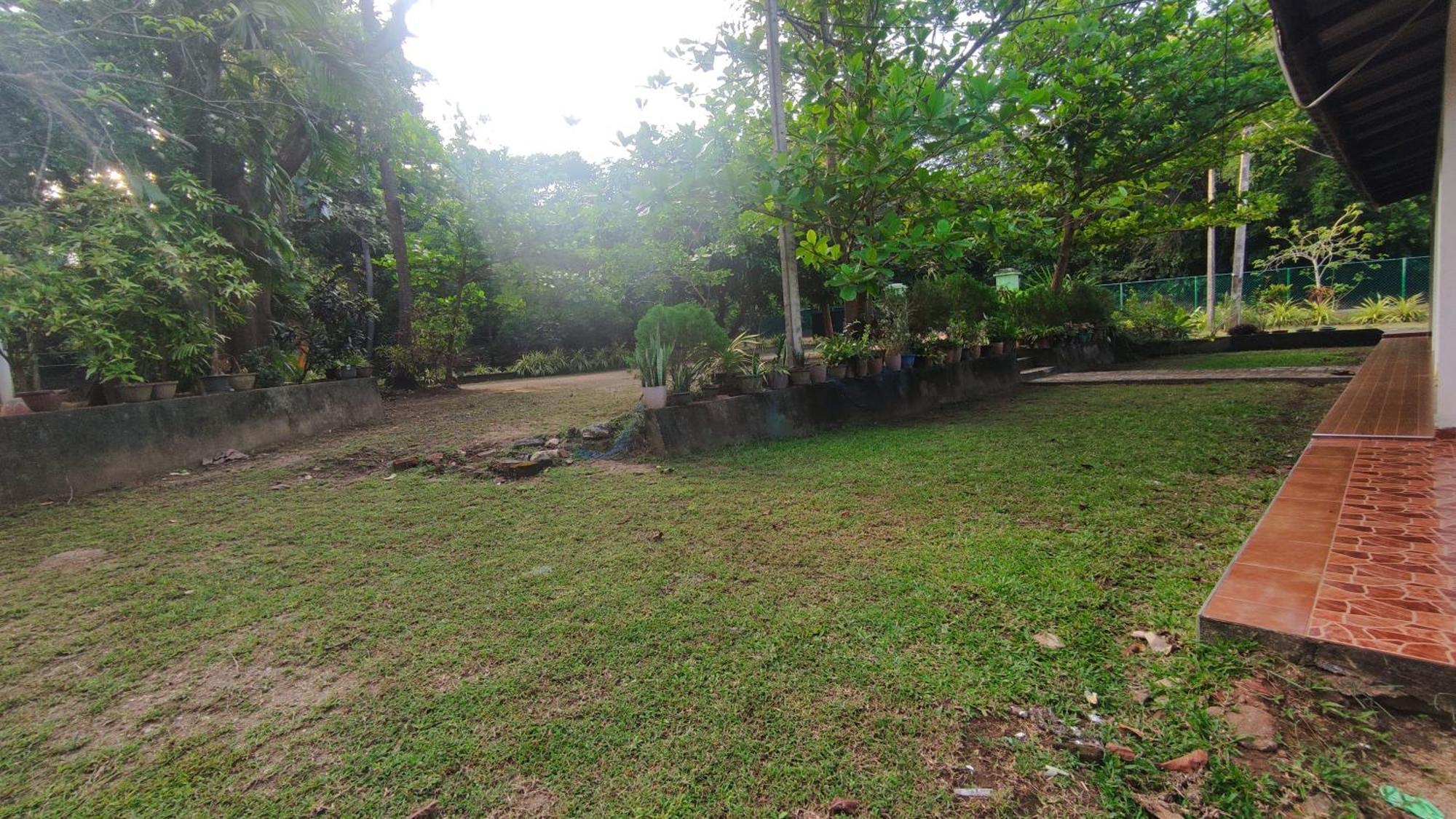 Deer Garden Guest Hotel Polonnaruwa Kültér fotó